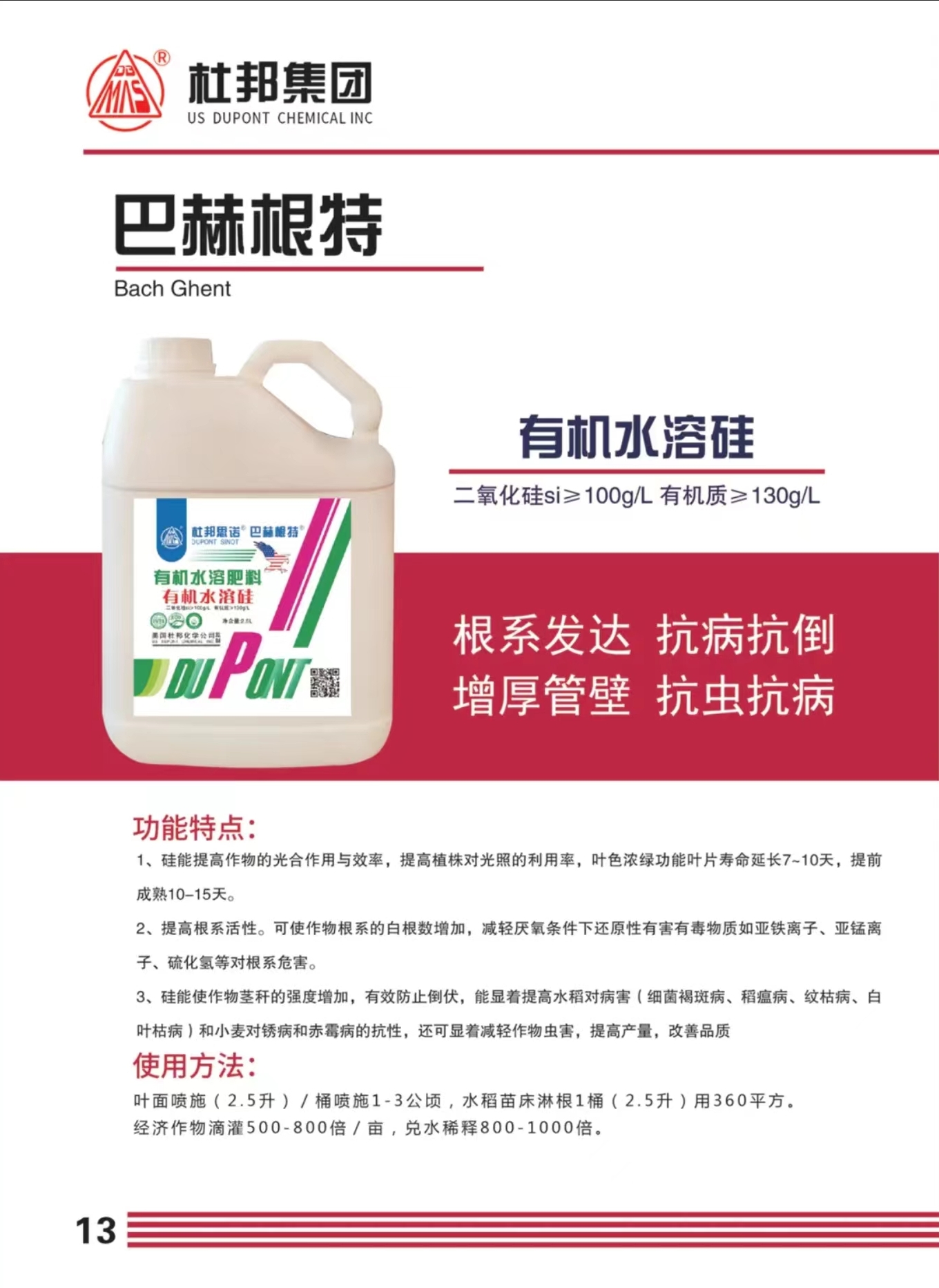 巴赫根特.jpg
