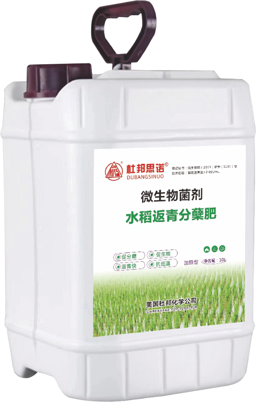 微生物菌剂-水稻返青分蘖肥.png