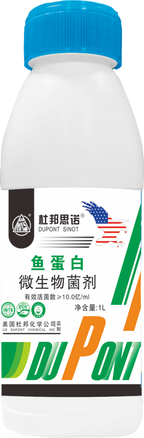 鱼蛋白-微生物菌剂.png